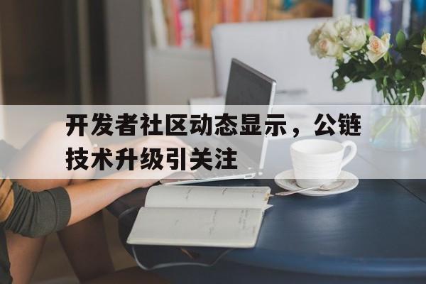 开元体育开发者社区动态显示,公链技术升级引关注的简单介绍