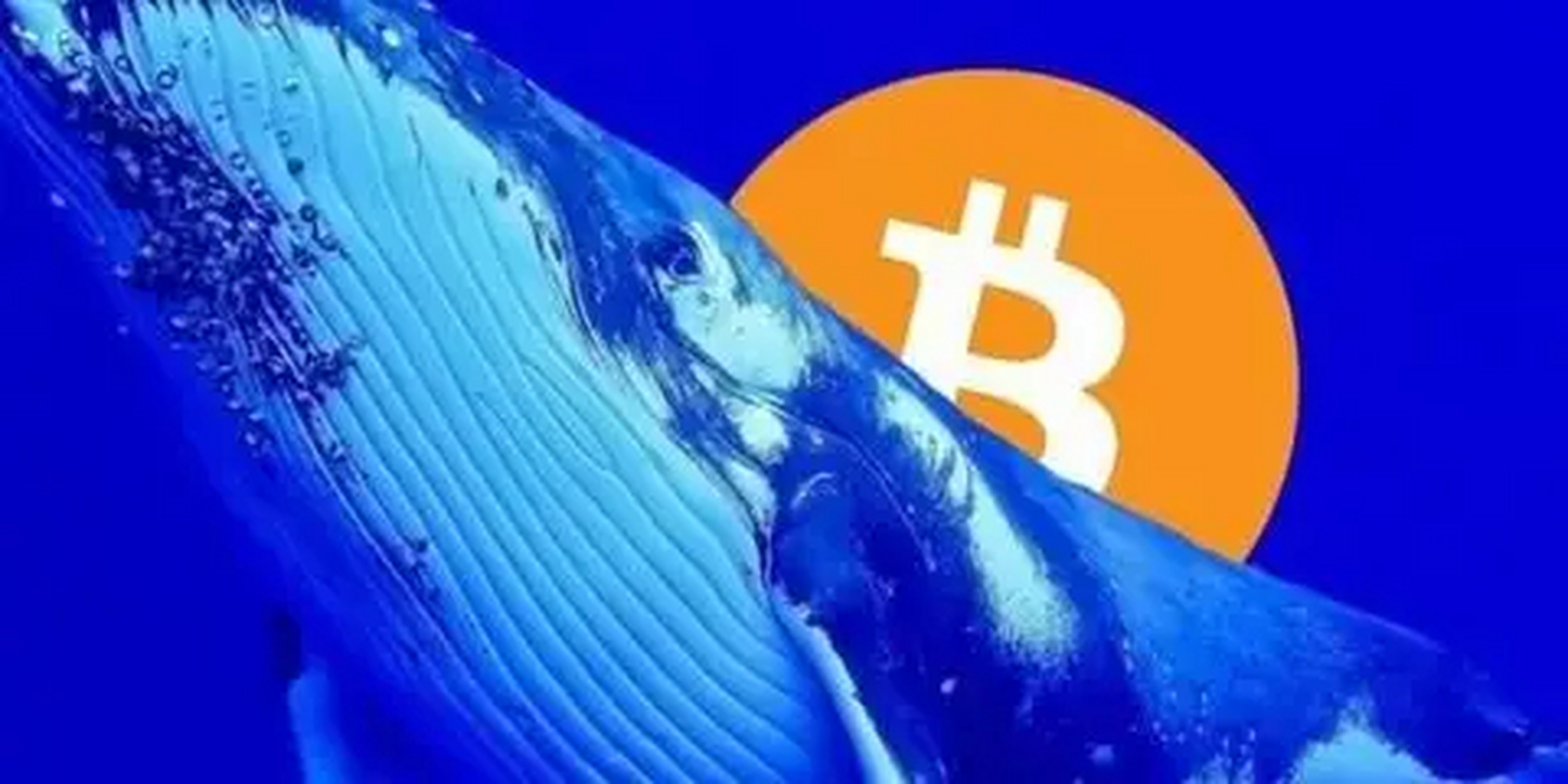 关于马斯克再次发推，以太坊瞬间上上扬SHIB%的信息
